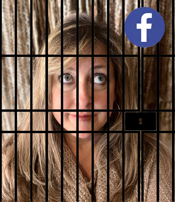 Julie in Facebook Jail
